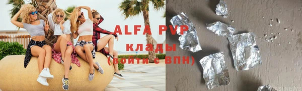 индика Горняк