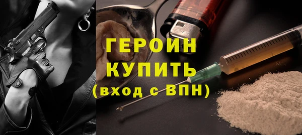 индика Горняк