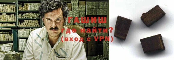 индика Горняк