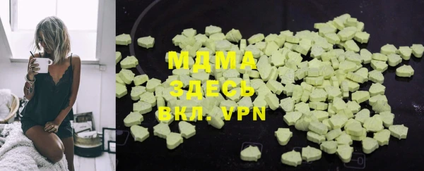 индика Горняк