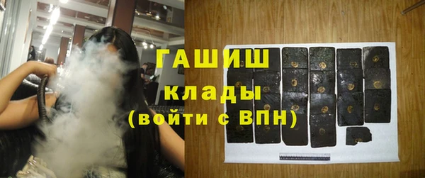 индика Горняк