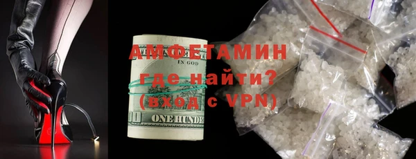 индика Горняк