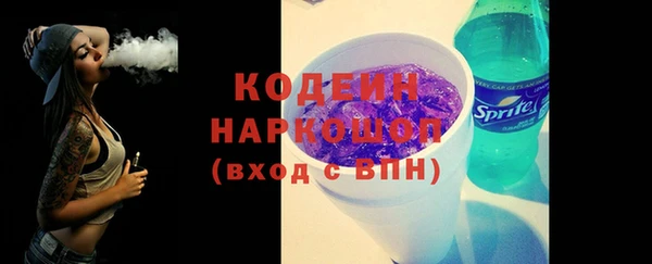 индика Горняк