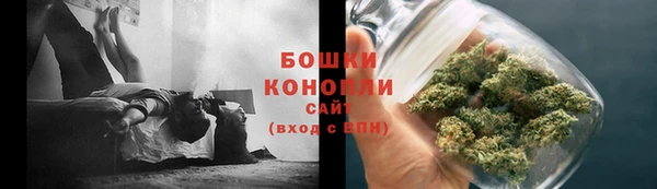 индика Горняк