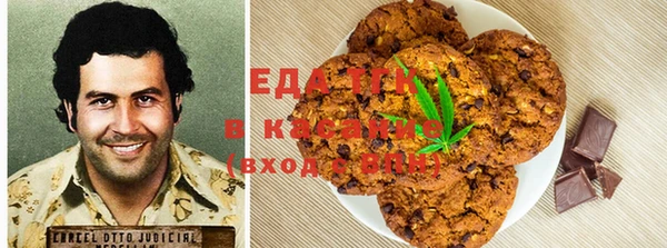 индика Горняк