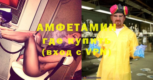 индика Горняк