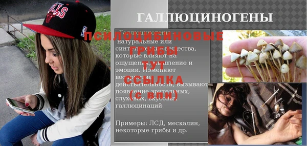 ешки Горнозаводск