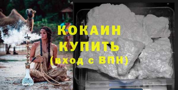 индика Горняк