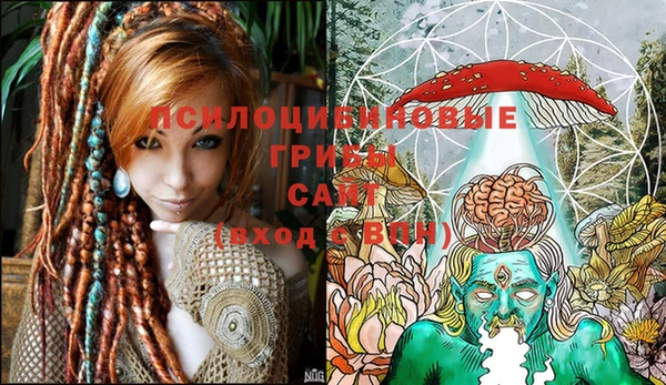 индика Горняк