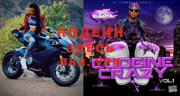 индика Горняк