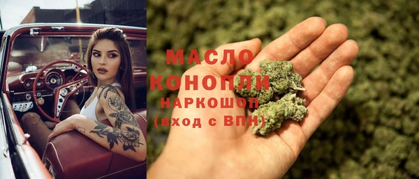 индика Горняк