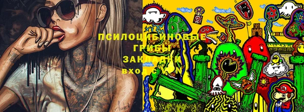 индика Горняк