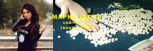 ешки Горнозаводск